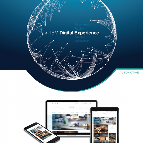 IBM Digital Experience Sales Shot